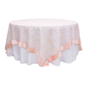 Blush Organza Overlay with Satin Border