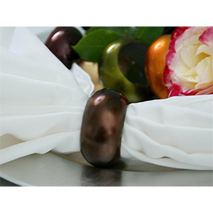 Chocolate Brown Gala Napkin Ring