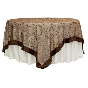 Chocolate Brown Organza Overlay with Satin Border