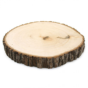Rustic Wood Biscuit Medium