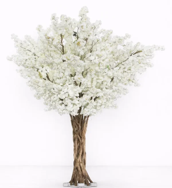 WHITE CHERRY BLOSSOM TREE 14'