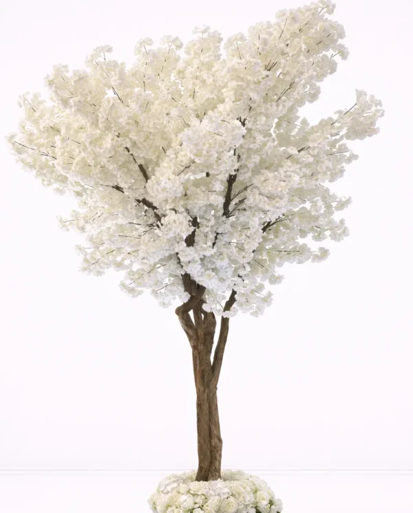 WHITE CHERRY BLOSSOM TREE 10'