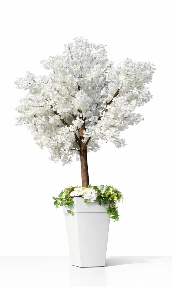 WHITE CHERRY BLOSSOM TREE 6' WHITE POT