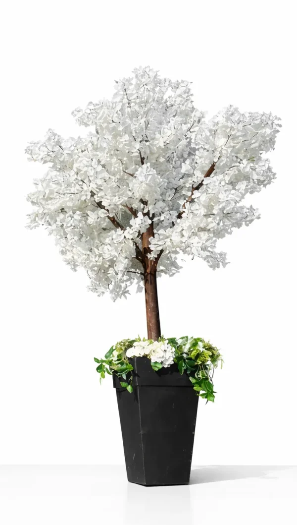 WHITE CHERRY BLOSSOM TREE 6' BLACK POT
