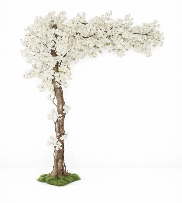 WHITE CHERRY BLOSSOM WILLOW TREE 9'