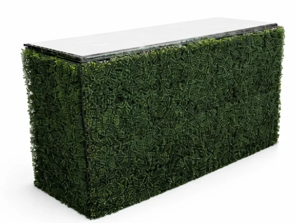 BOXWOOD BAR 6'