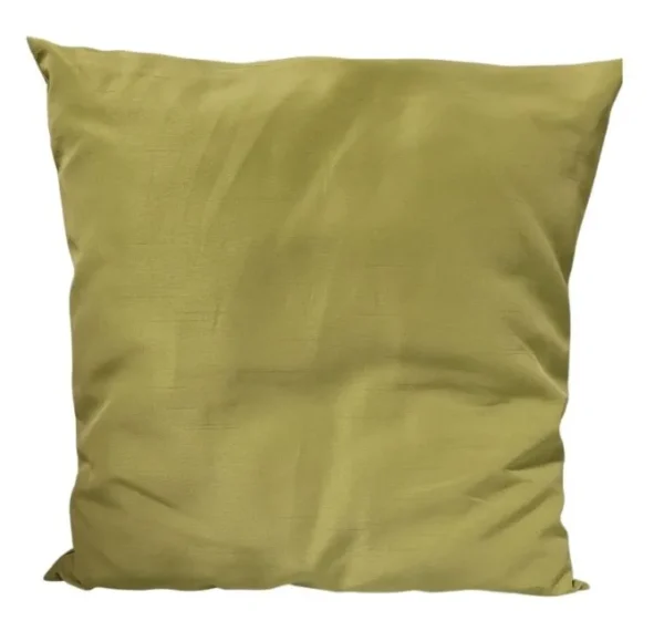 APPLE GREEN CUSHION