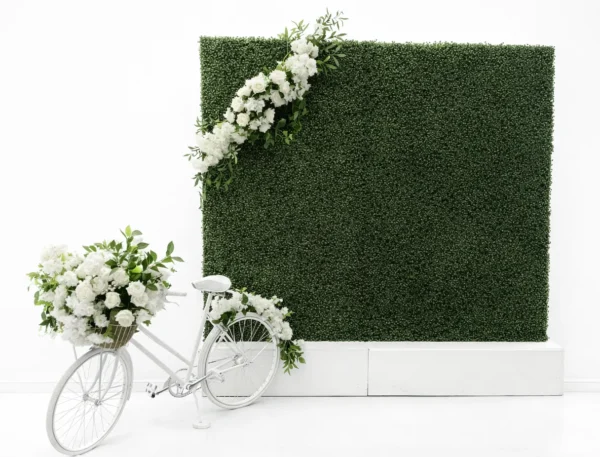 BOXWOOD WALL WITH WHITE BASE AND BICYCLE