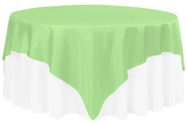 MINT GREEN SATIN OVERLAY