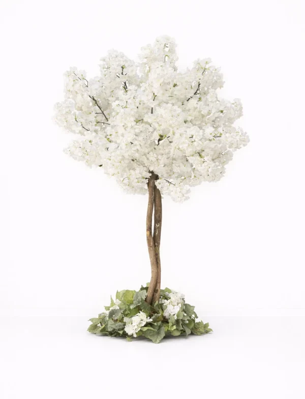 ARBRE CÉRISIERS 5'