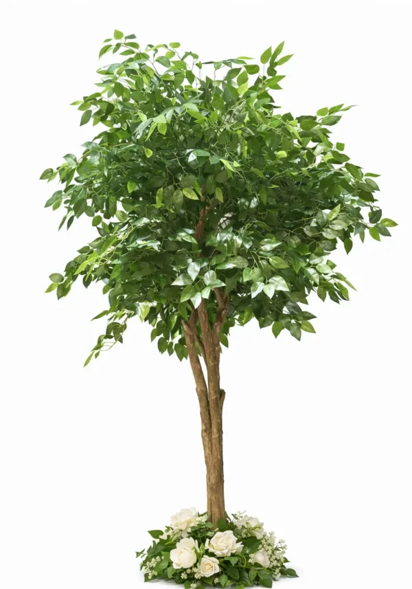 ARBRE FICUS 6'