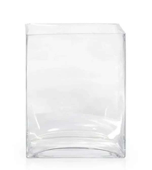 CLEAR EROS 5" VASE