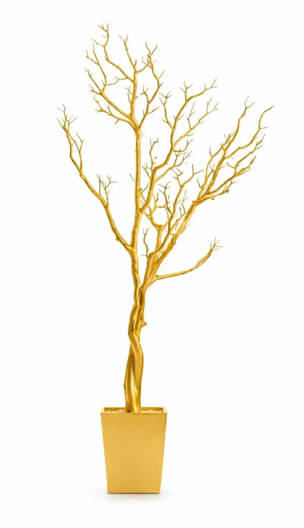 GOLD MANZANITA TREE 36"