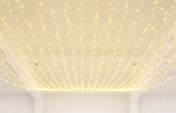 STRING LIGHTS WITH CLEAR WIRE