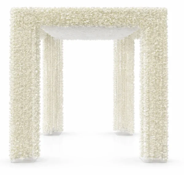 WISTERIA WITH WHITE VOILE